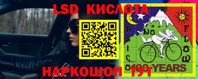 ALPHA PVP Камышлов
