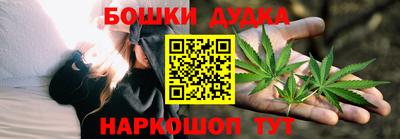 ALPHA PVP Камышлов