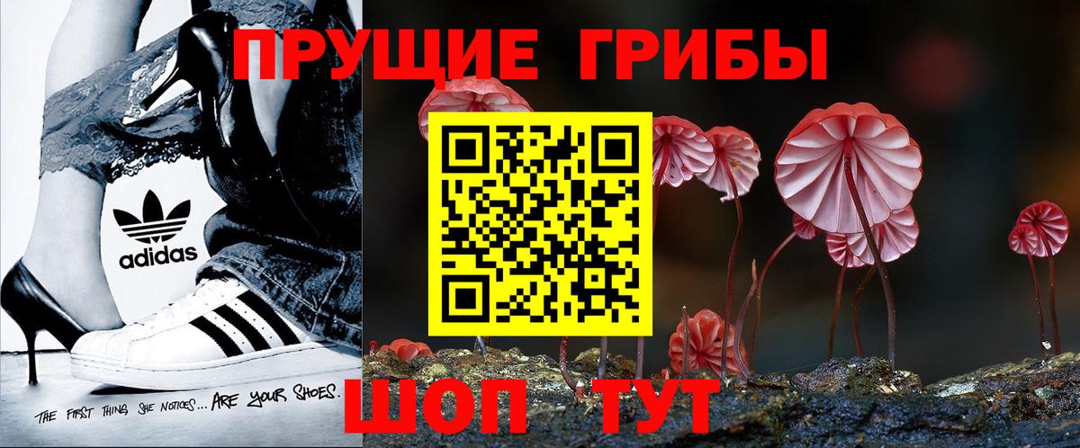 Псилоцибиновые грибы Psilocybine cubensis  Вход с VPN  Псилоцибиновые грибы GOLDEN TEACHER  Черемхово 